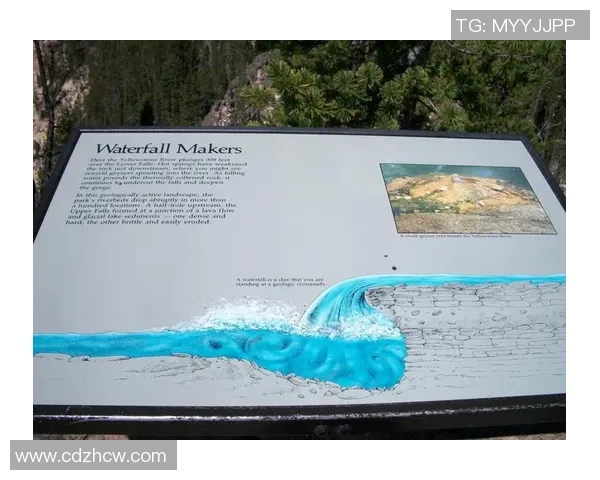 西雅图海与盐湖城最新动态分析及比赛前瞻全解读